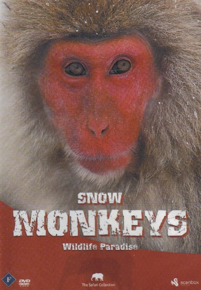 SNOW MONKIES  - SAFARI [DVD]